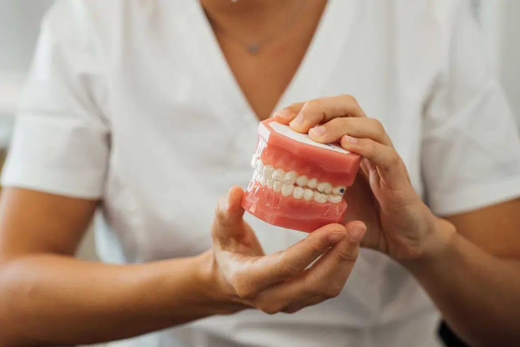 dentist showing dentures model